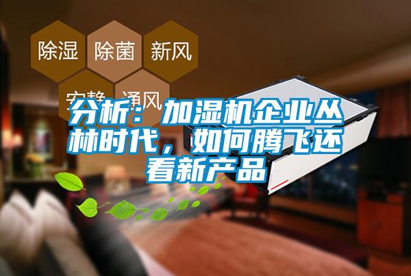 分析：加濕機企業叢林時代，如何騰飛還看新產品