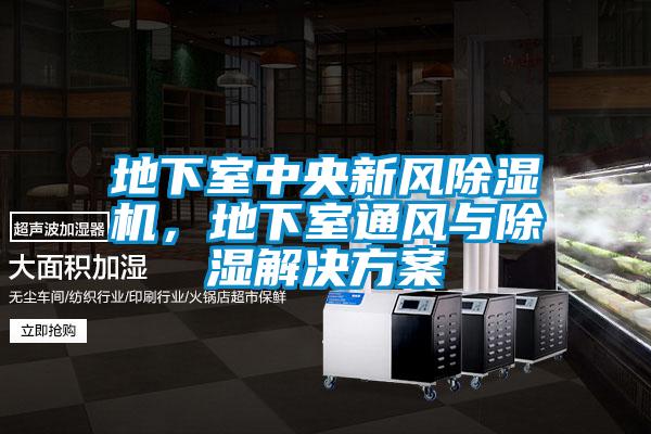 地下室中央新風除濕機，地下室通風與除濕解決方案