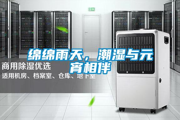 綿綿雨天，潮濕與元宵相伴