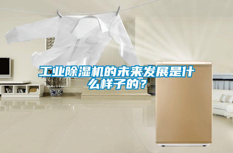 工業除濕機的未來發展是什么樣子的？