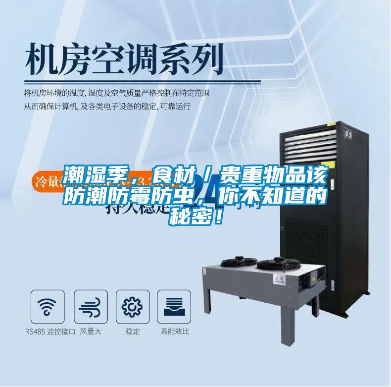 潮濕季，食材／貴重物品該防潮防霉防蟲，你不知道的秘密！