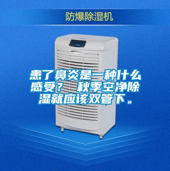 患了鼻炎是一種什么感受？ 秋季空凈除濕就應該雙管下。