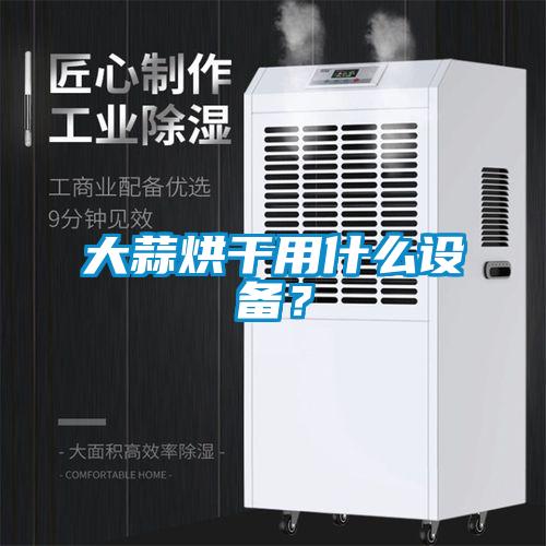 大蒜烘干用什么設備？