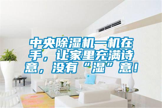 中央除濕機一機在手，讓家里充滿詩意，沒有“濕”意！