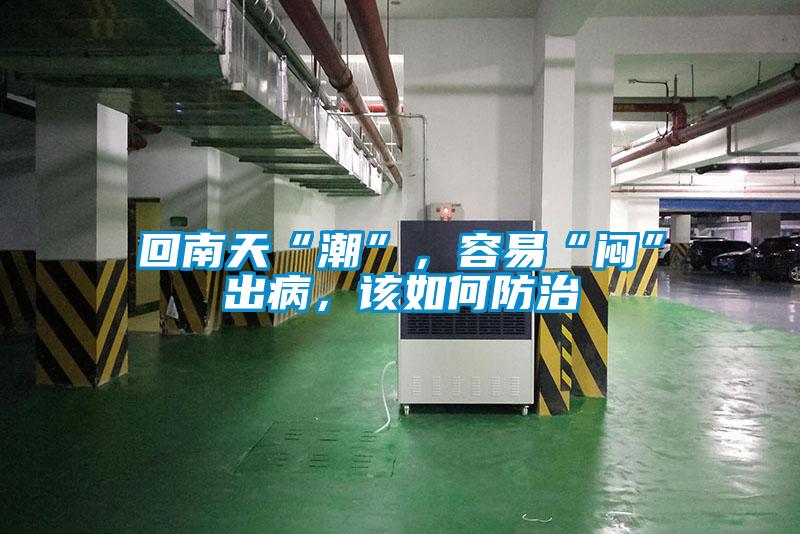 回南天“潮”，容易“悶”出病，該如何防治