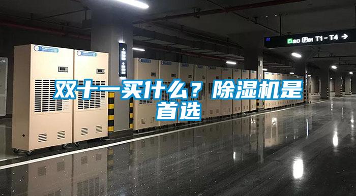 雙十一買什么？除濕機是首選