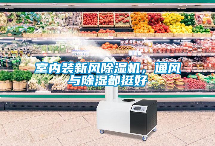 室內裝新風除濕機，通風與除濕都挺好
