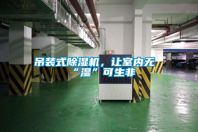 吊裝式除濕機，讓室內無“濕”可生非