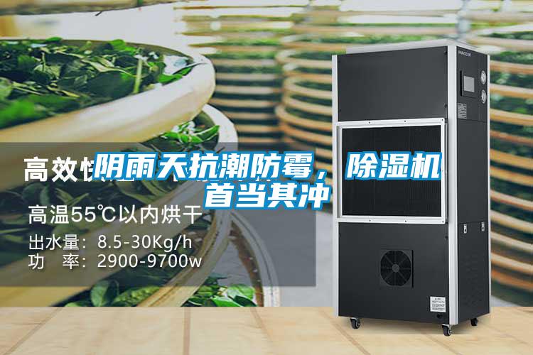 陰雨天抗潮防霉，除濕機首當其沖
