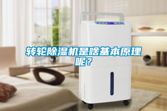 轉輪除濕機是啥基本原理呢？