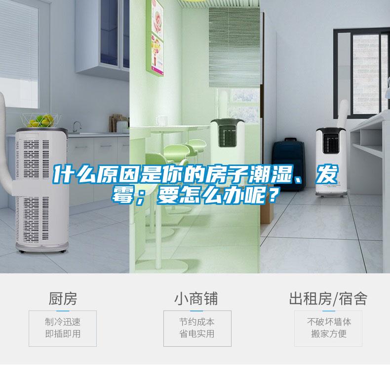 什么原因是你的房子潮濕、發霉；要怎么辦呢？