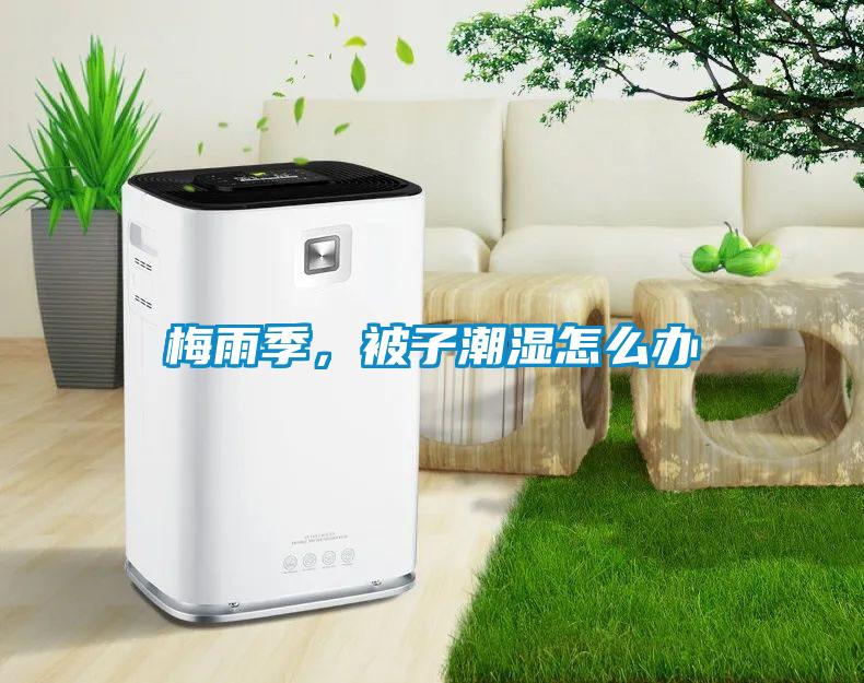 梅雨季，被子潮濕怎么辦