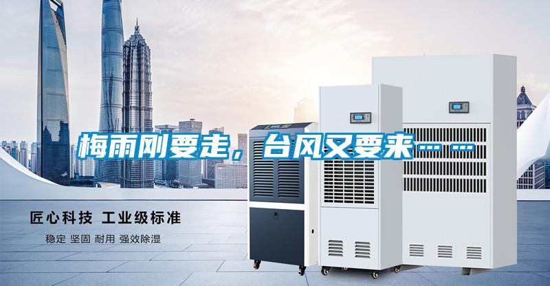 梅雨剛要走，臺風又要來……