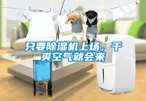 只要除濕機上場，干爽空氣就會來