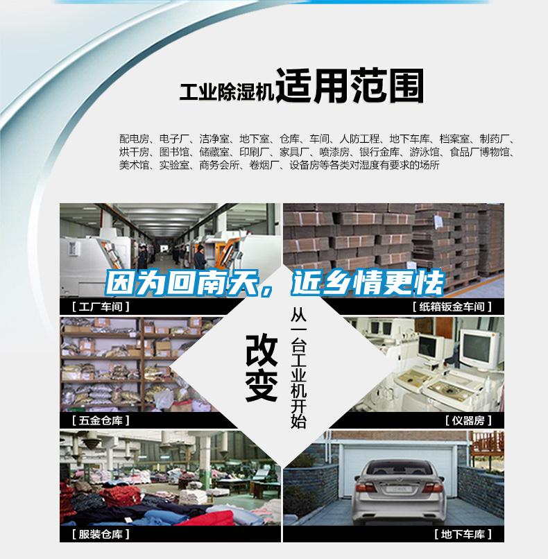因為回南天，近鄉情更怯