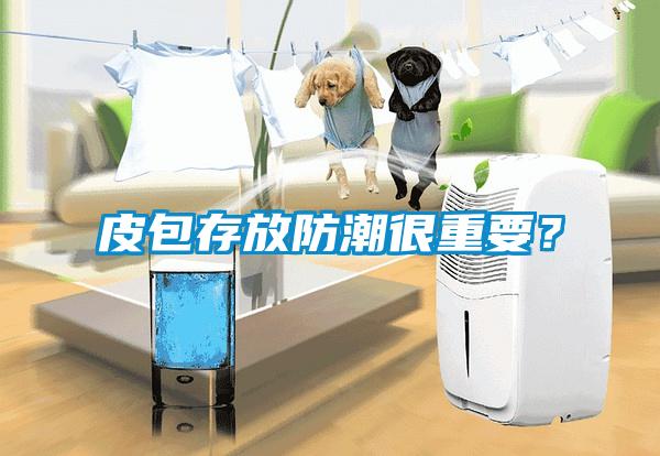 皮包存放防潮很重要？