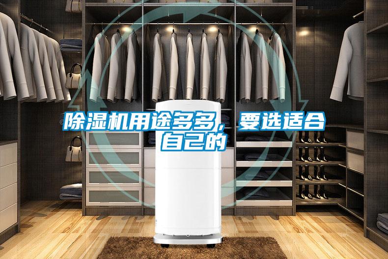 除濕機用途多多，要選適合自己的