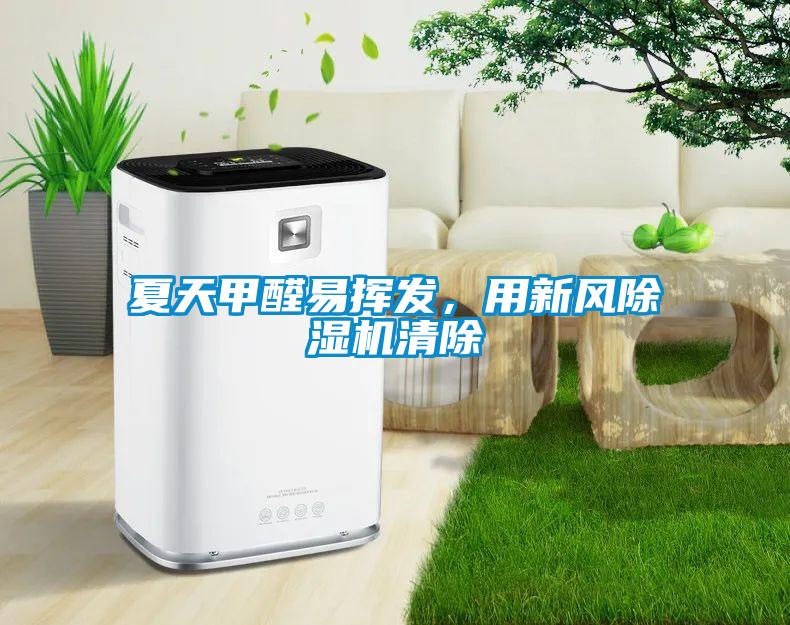 夏天甲醛易揮發，用新風除濕機清除