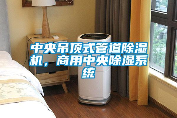 中央吊頂式管道除濕機，商用中央除濕系統