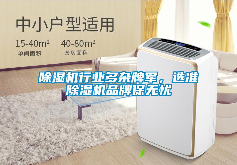 除濕機行業多雜牌軍，選準除濕機品牌保無憂