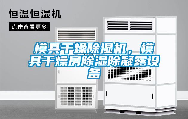 模具干燥除濕機，模具干燥房除濕除凝露設備