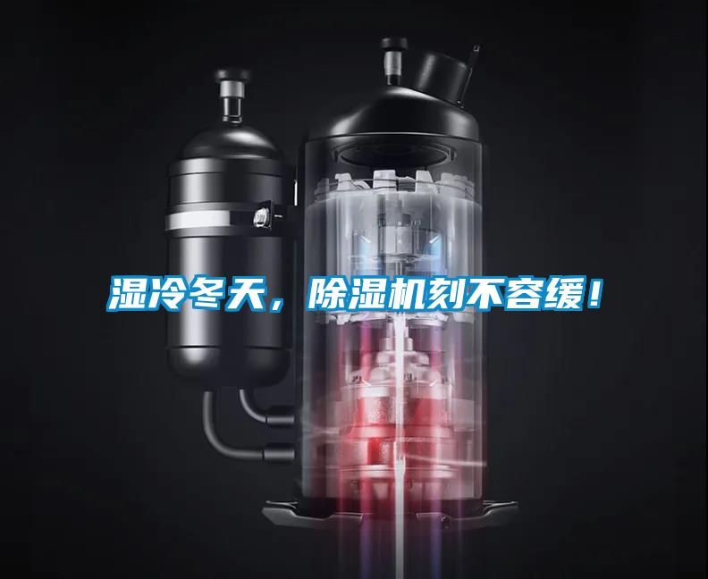 濕冷冬天，除濕機刻不容緩！