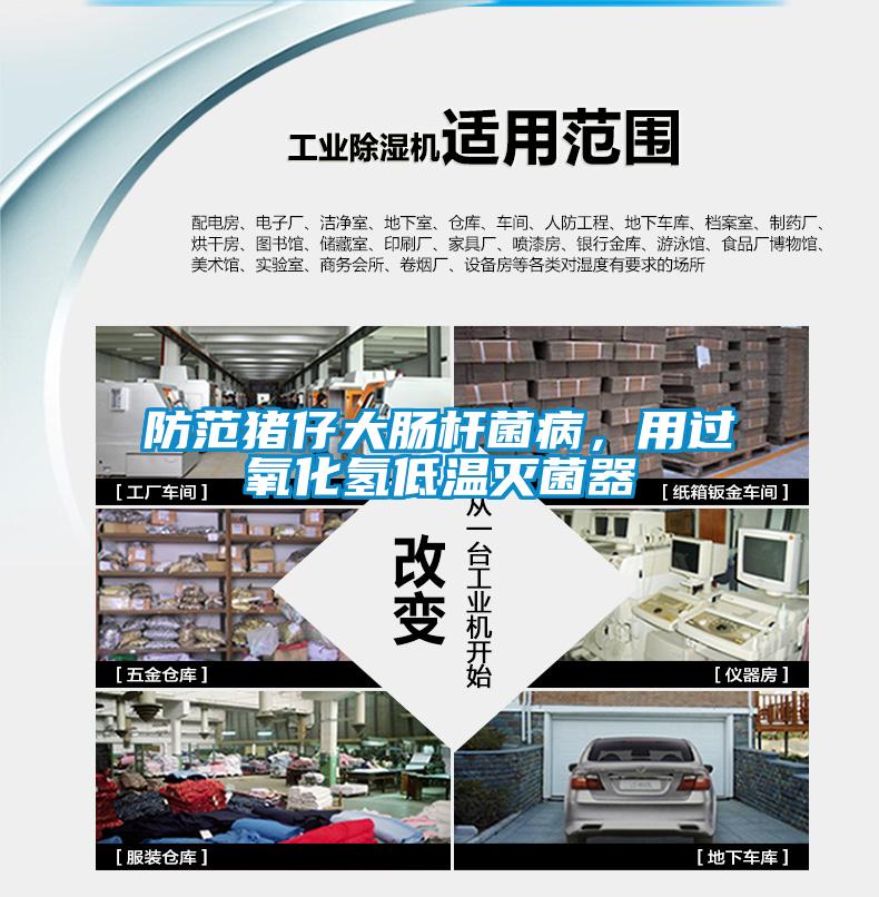 防范豬仔大腸桿菌病，用過氧化氫低溫滅菌器