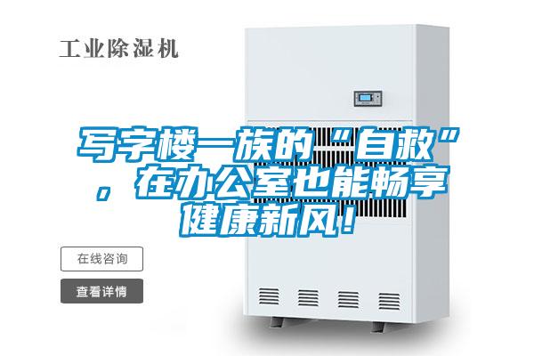 寫字樓一族的“自救”，在辦公室也能暢享健康新風！