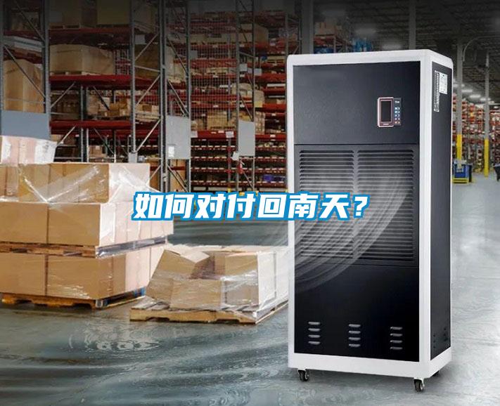 如何對付回南天？
