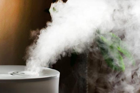 對抗梅雨季節潮濕，家用除濕機為您解決煩惱！