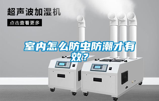 室內怎么防蟲防潮才有效？