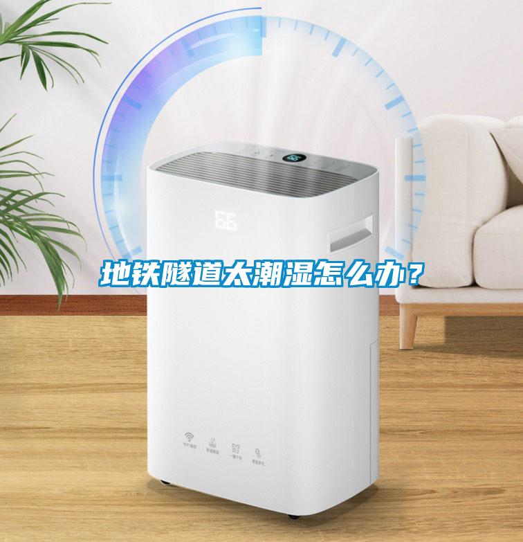 地鐵隧道太潮濕怎么辦？