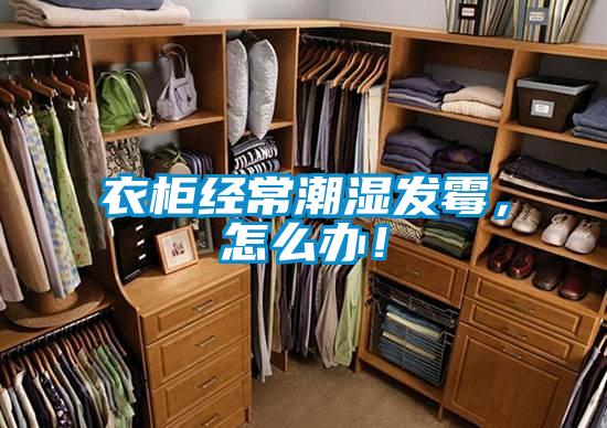 衣柜經常潮濕發霉，怎么辦！