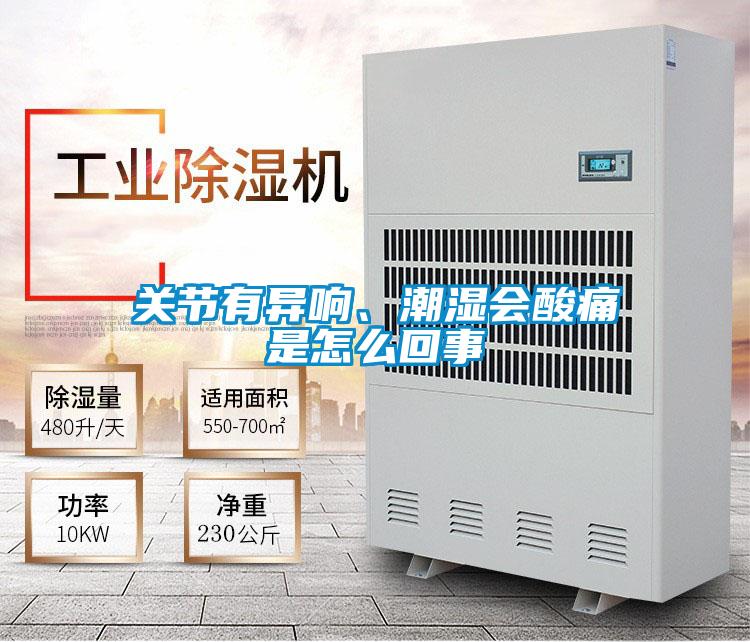 關節有異響、潮濕會酸痛是怎么回事