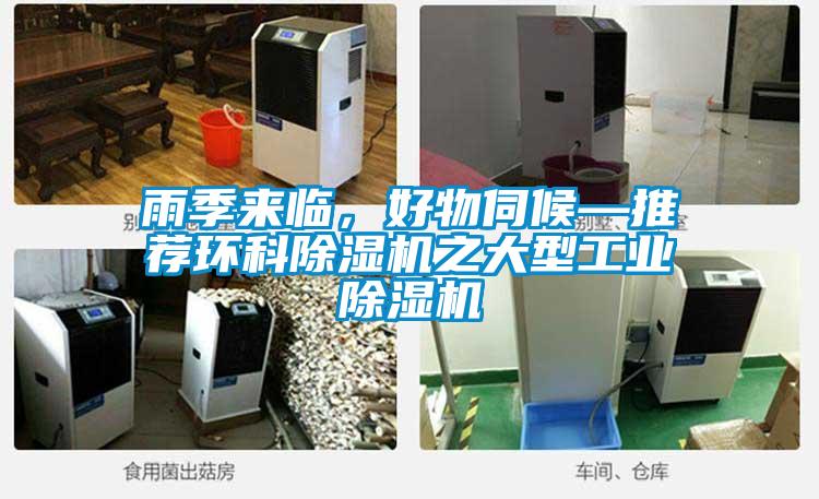 雨季來臨，好物伺候—推薦環科除濕機之大型工業除濕機