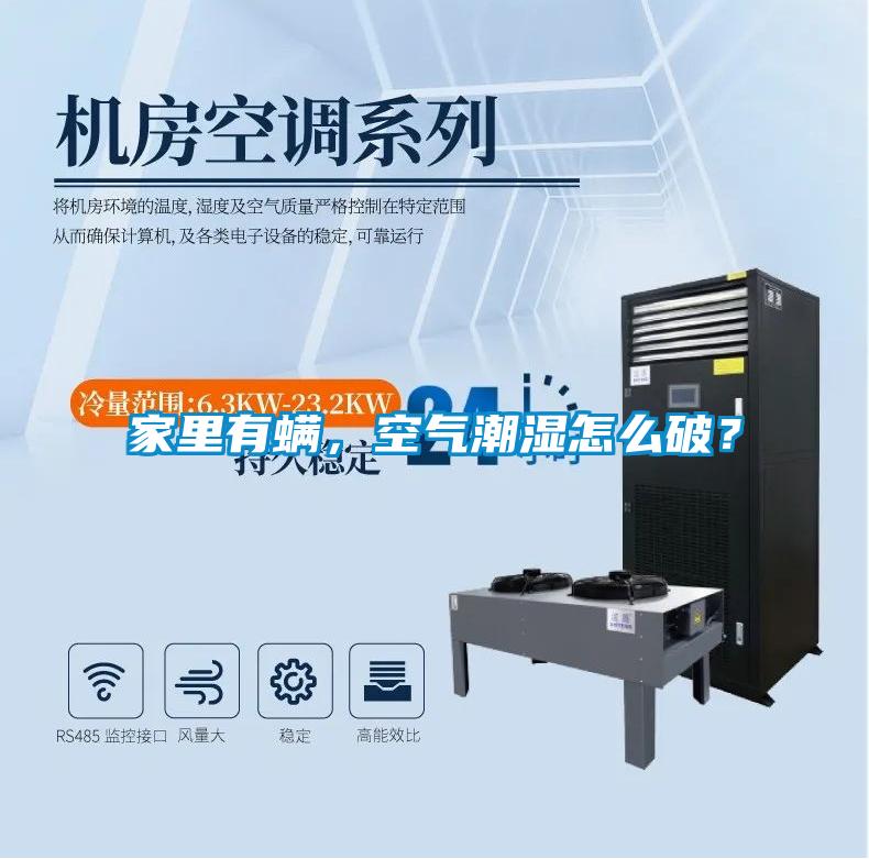 家里有螨，空氣潮濕怎么破？