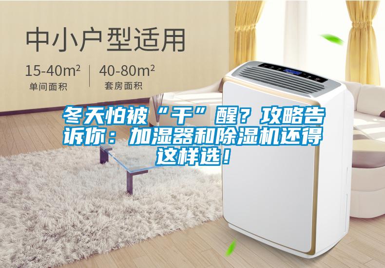 冬天怕被“干”醒？攻略告訴你：加濕器和除濕機還得這樣選！