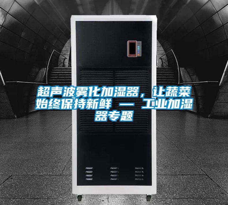 超聲波霧化加濕器，讓蔬菜始終保持新鮮 — 工業加濕器專題