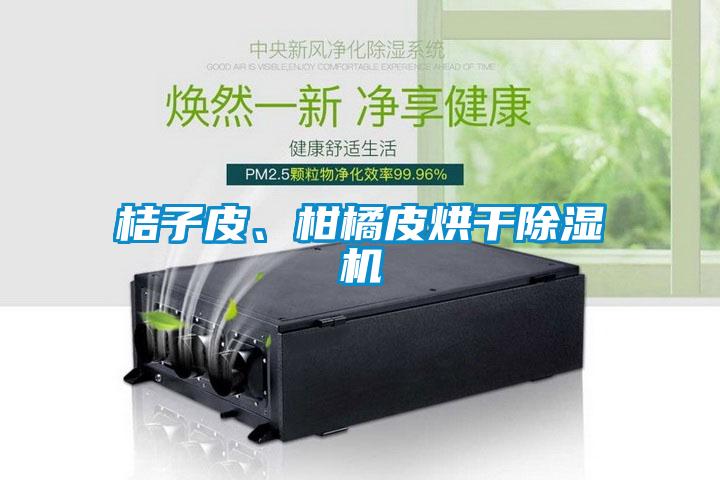 桔子皮、柑橘皮烘干除濕機