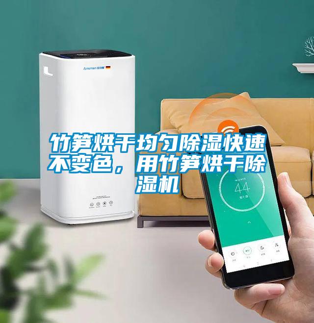 竹筍烘干均勻除濕快速不變色，用竹筍烘干除濕機