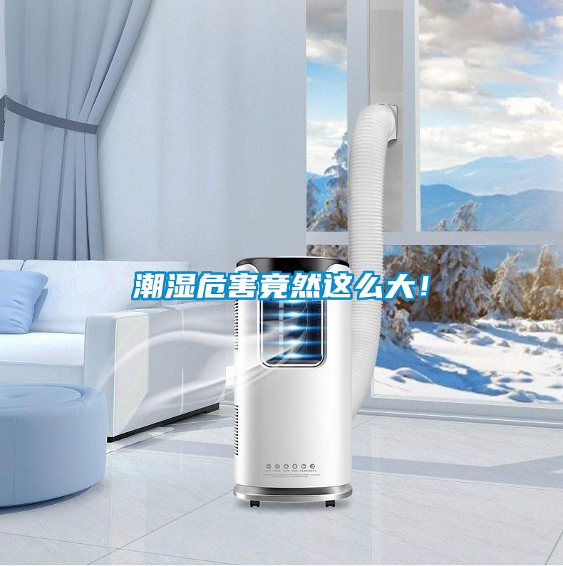 潮濕危害竟然這么大！