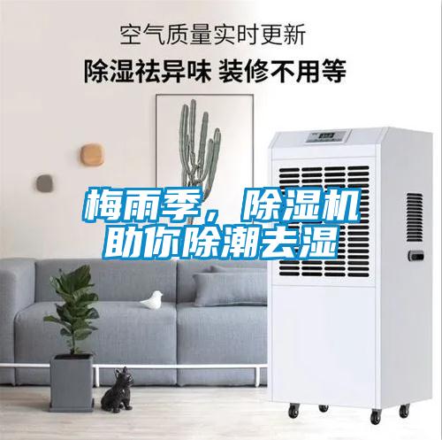 梅雨季，除濕機助你除潮去濕