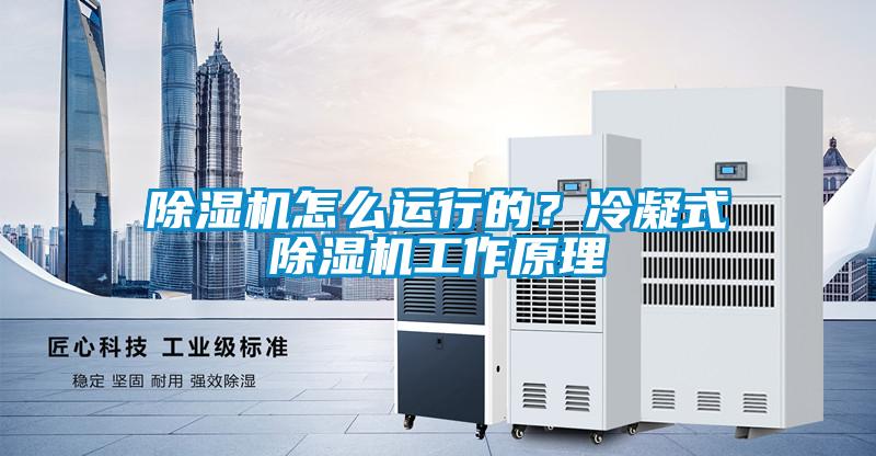 除濕機怎么運行的？冷凝式除濕機工作原理