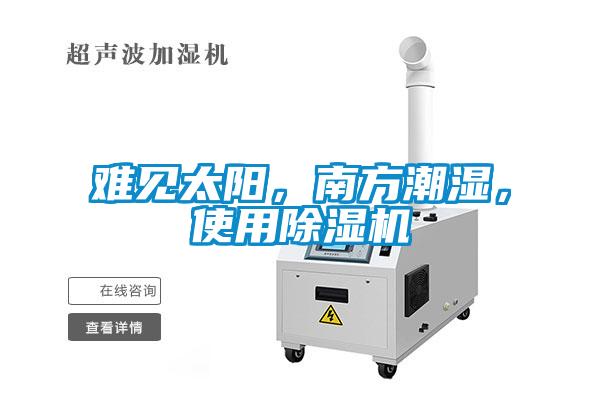 難見太陽，南方潮濕，使用除濕機