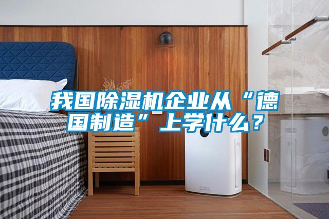 我國除濕機企業從“德國制造”上學什么？