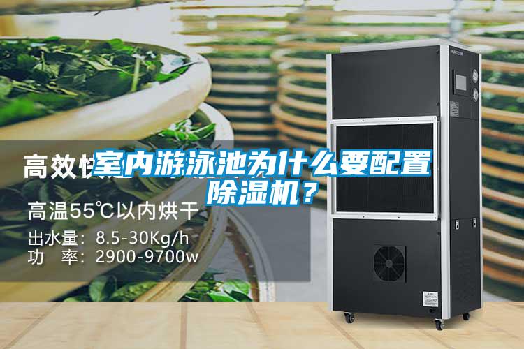 室內游泳池為什么要配置除濕機？