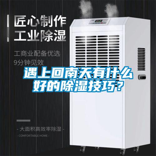 遇上回南天有什么好的除濕技巧？