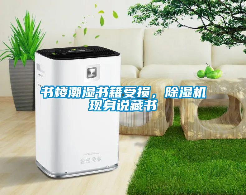書樓潮濕書籍受損，除濕機現身說藏書