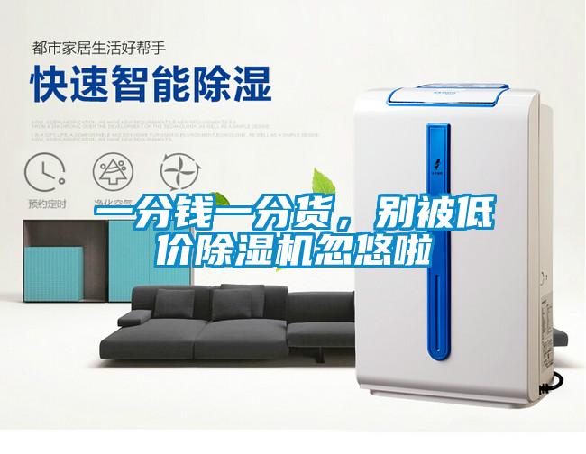 一分錢一分貨，別被低價除濕機忽悠啦