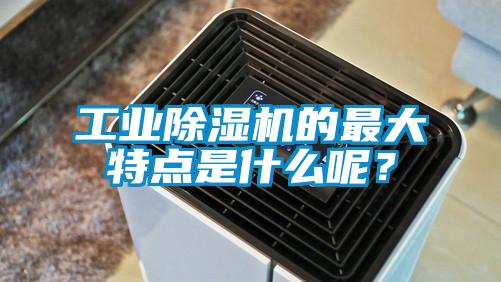 工業除濕機的最大特點是什么呢？